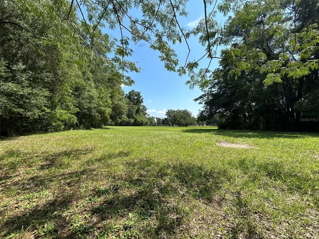 1119 SW 143rd Street Newberry FL 32669
