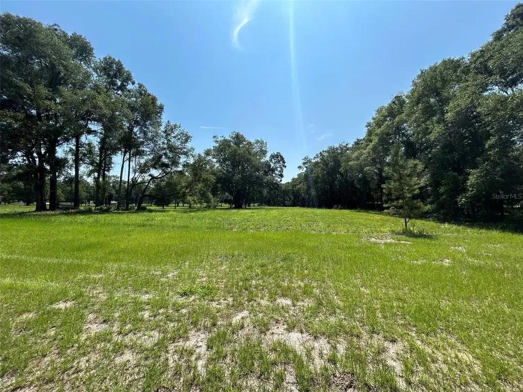 1119 SW 143rd Street Newberry FL 32669
