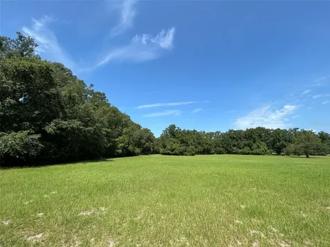 1119 SW 143rd Street Newberry FL 32669