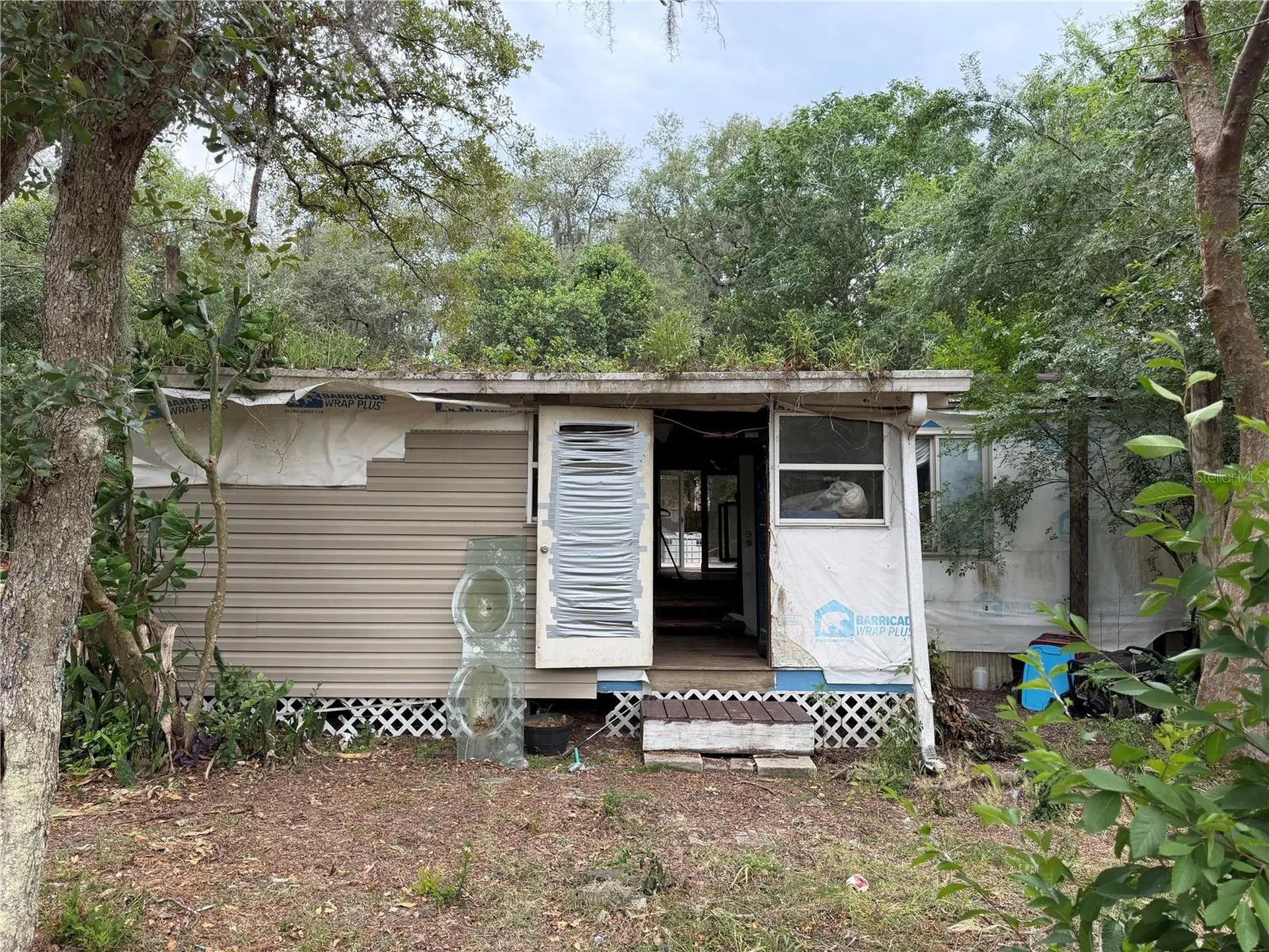 16100 SE 253rd Court Umatilla FL 32784