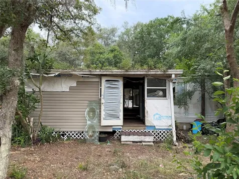 16100 SE 253rd Court Umatilla FL 32784
