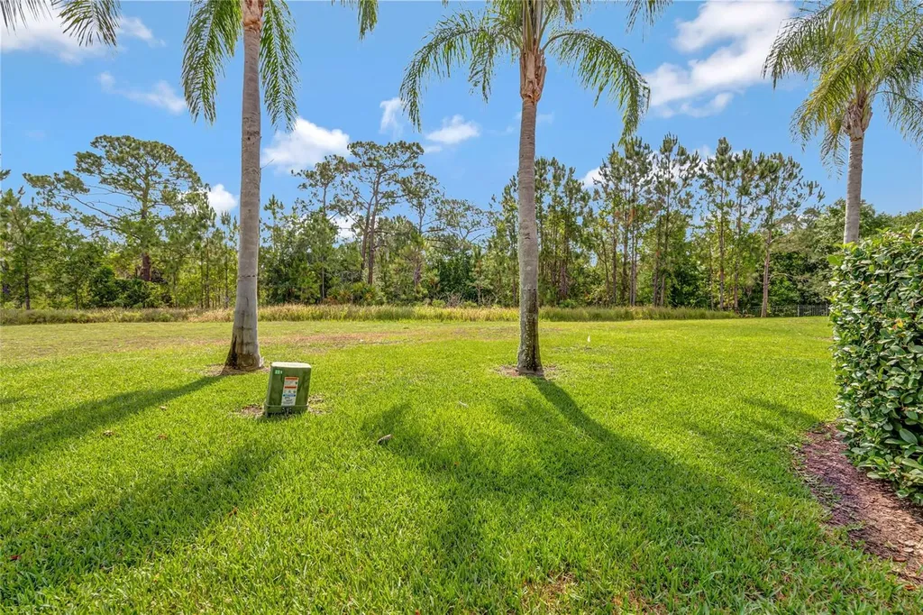 3050 White Orchid Road Kissimmee FL 34747