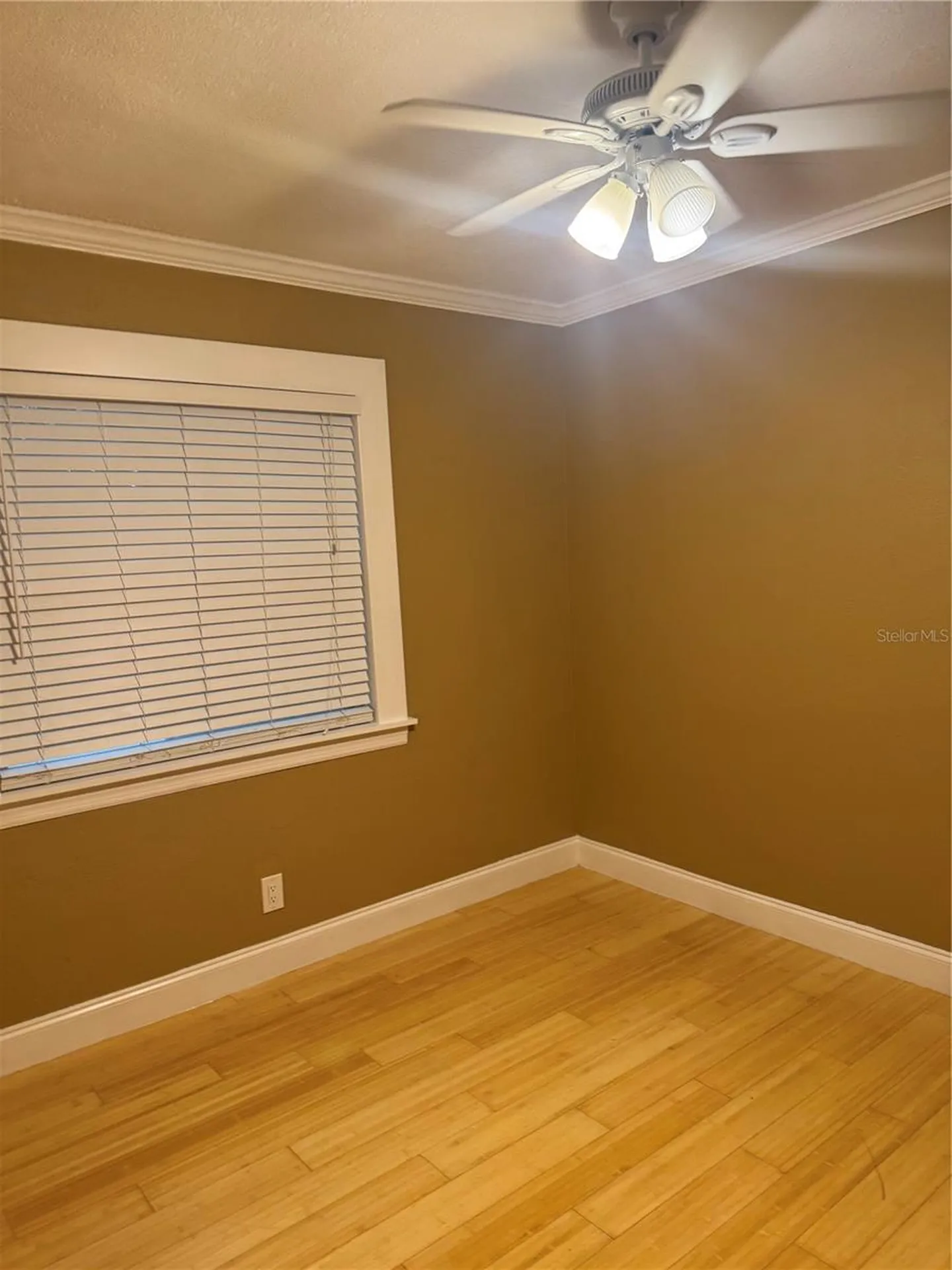 1701 53rd Street S Gulfport FL 33707
