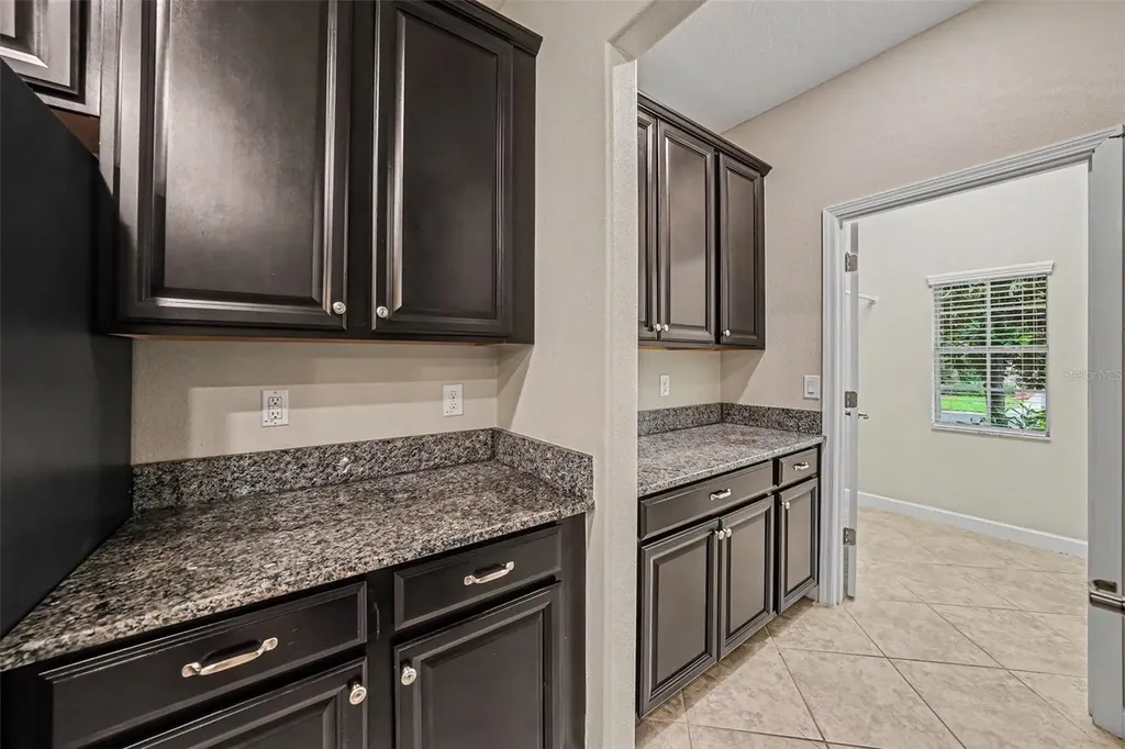 11809 Twilight Darner Place Lithia FL 33547