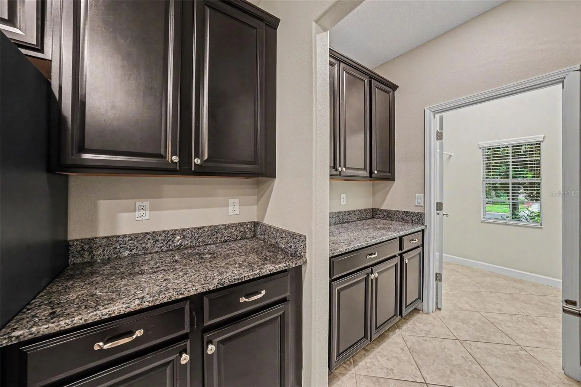 11809 Twilight Darner Place Riverview FL 33569