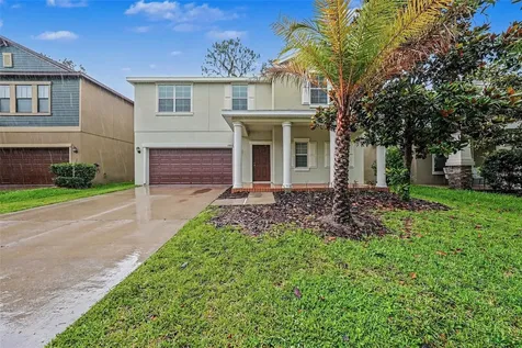 11809 Twilight Darner Place Lithia FL 33547