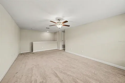 11809 Twilight Darner Place Lithia FL 33547