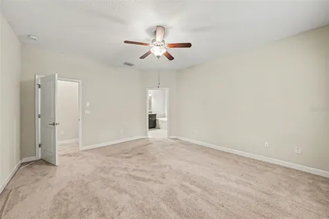 11809 Twilight Darner Place Lithia FL 33547