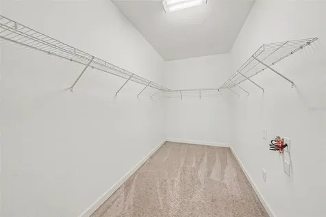 11809 Twilight Darner Place Lithia FL 33547