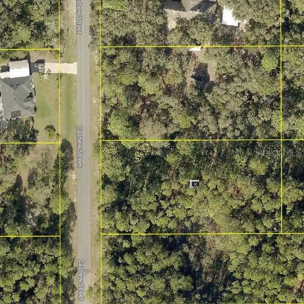 Eustis FL 32736
