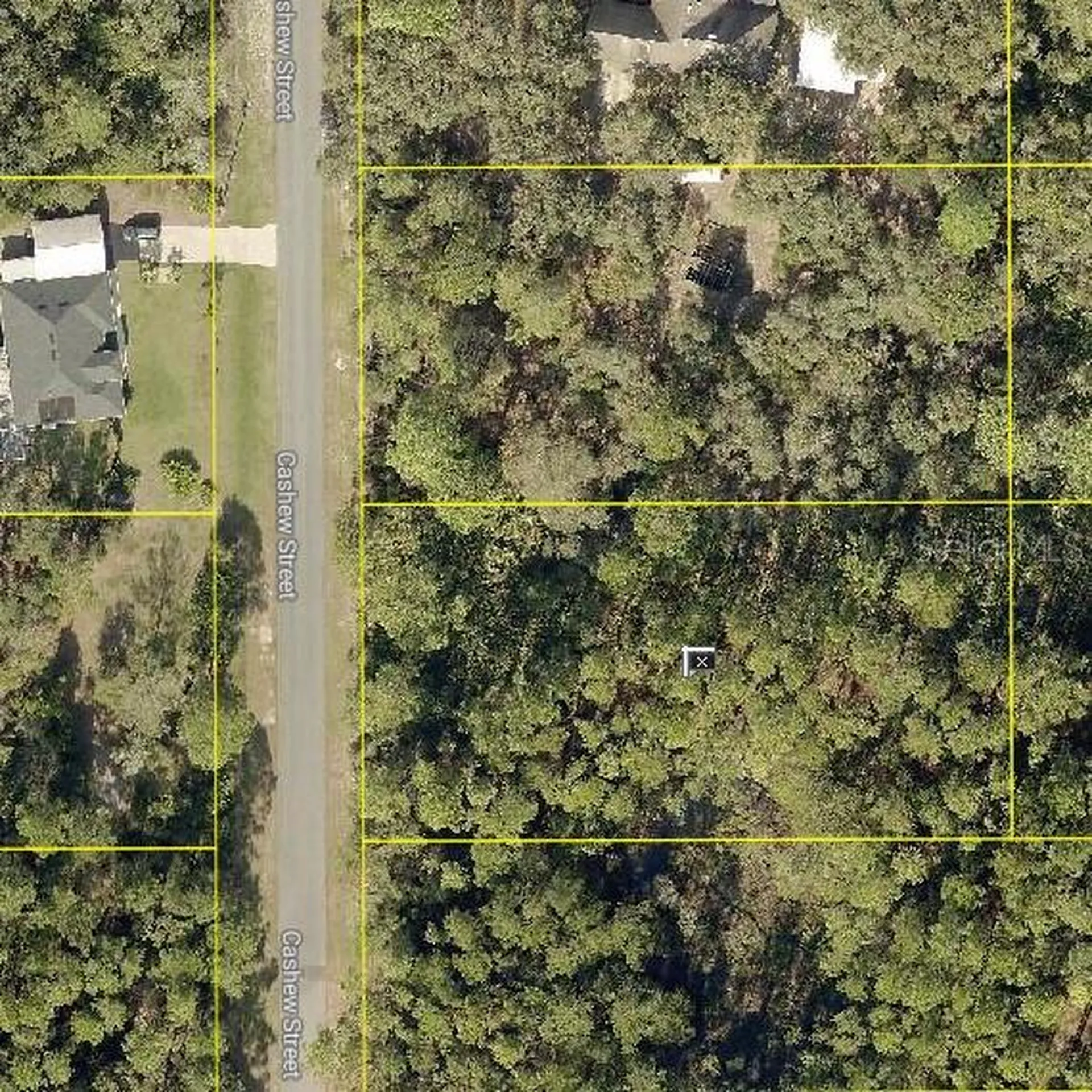 Eustis FL 32736