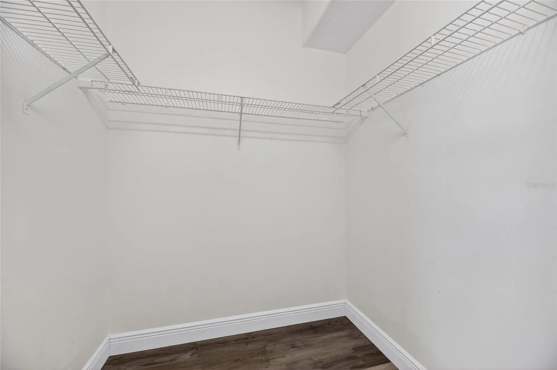 16003 Ridley Place Tampa FL 33647