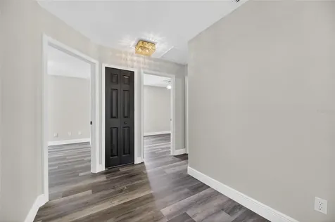 16003 Ridley Place Tampa FL 33647