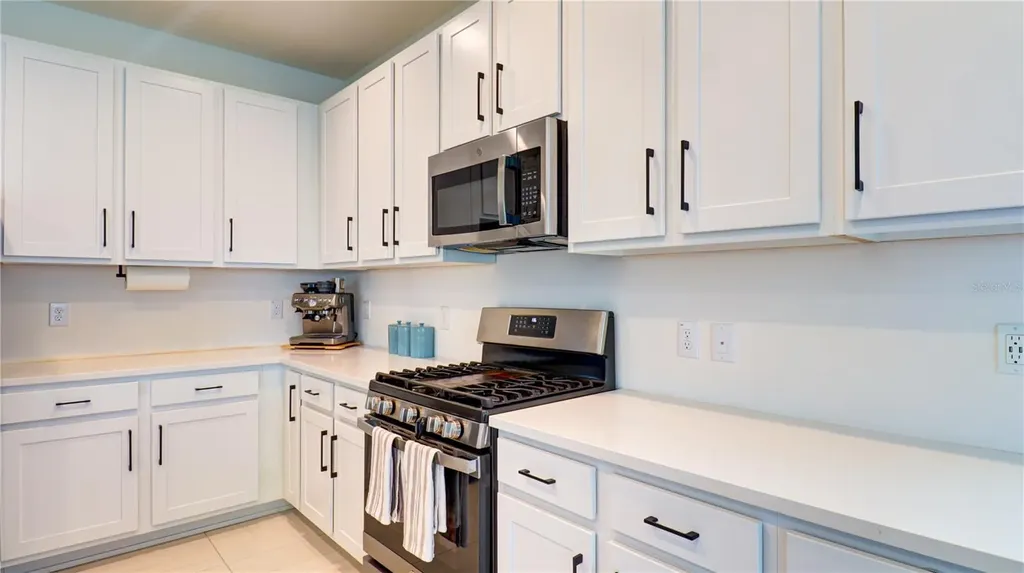 3338 Great Banyan Way Wesley Chapel FL 33543
