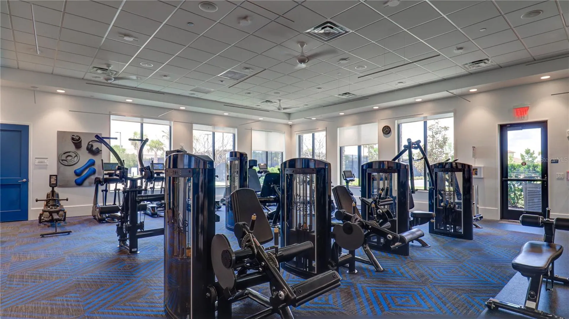 3338 Great Banyan Way Wesley Chapel FL 33543