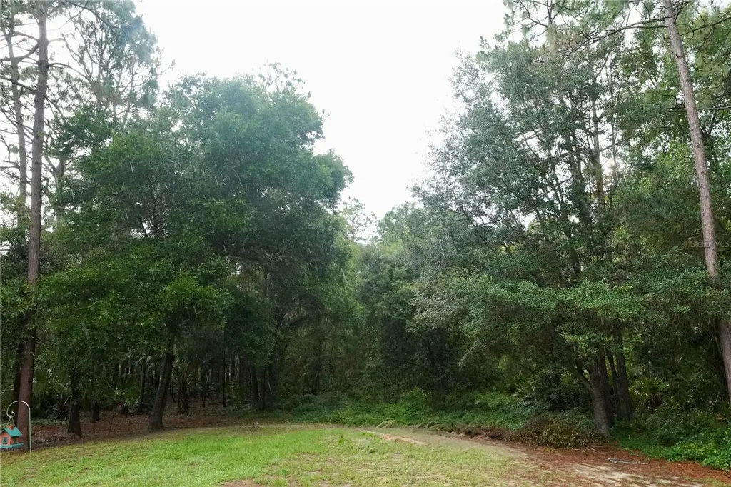 2482 S Wakulla Point Homosassa FL 34448