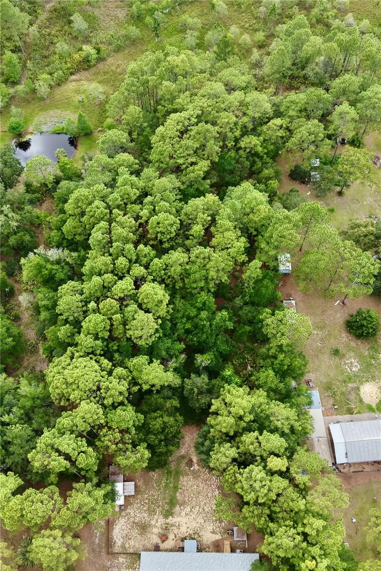 2482 S Wakulla Point Homosassa FL 34448