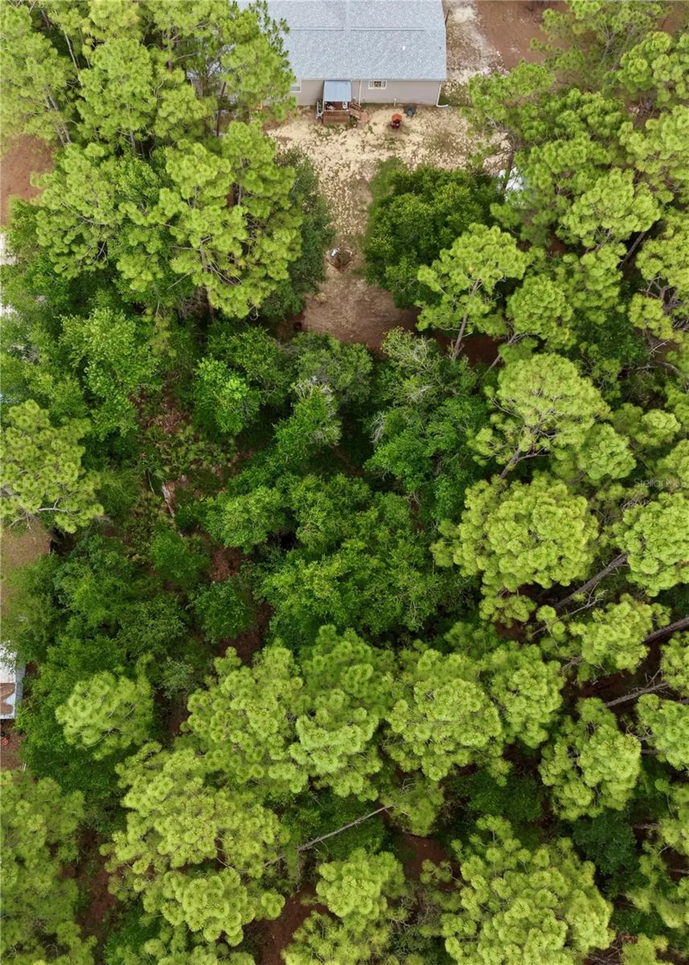 2482 S Wakulla Point Homosassa FL 34448