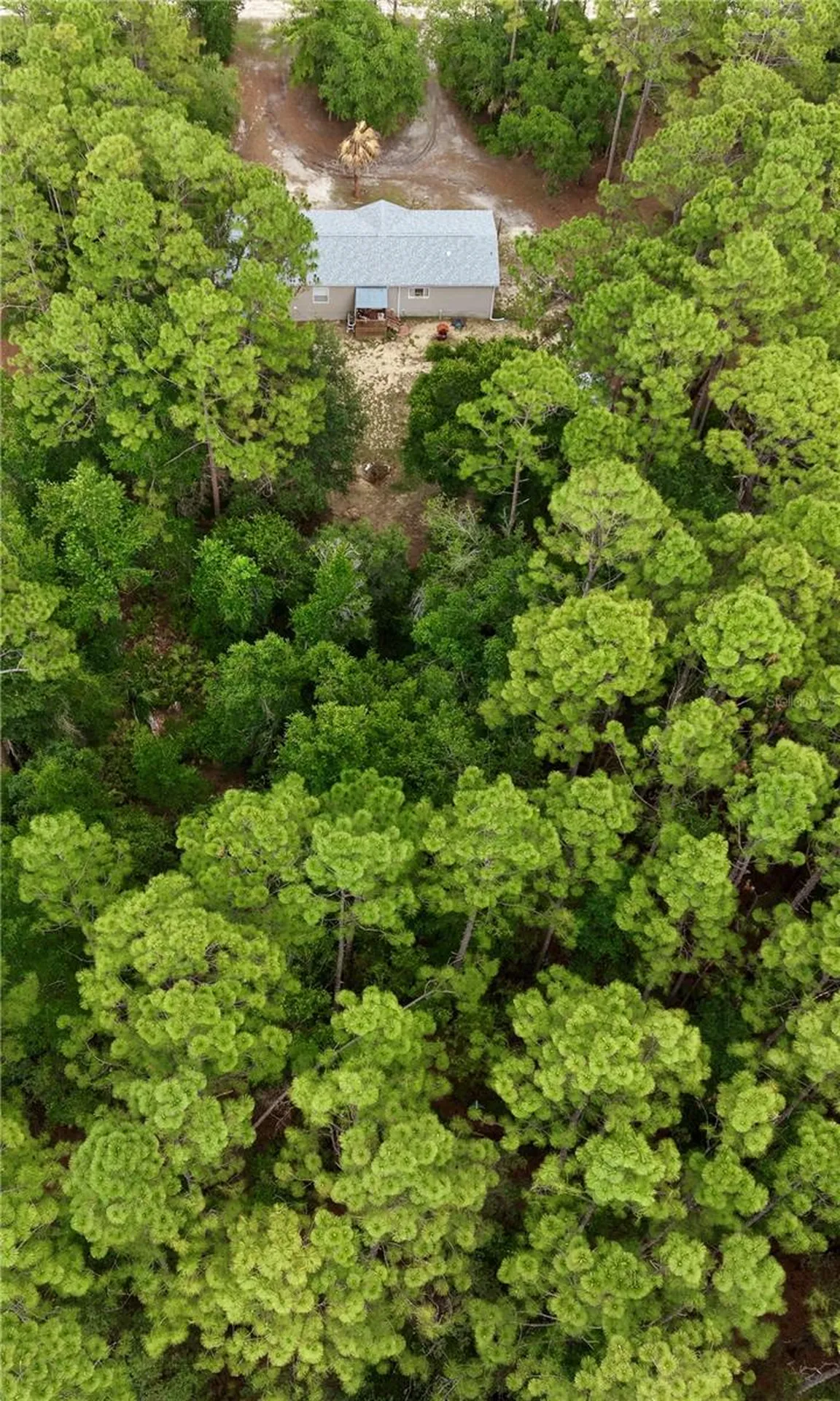 2482 S Wakulla Point Homosassa FL 34448