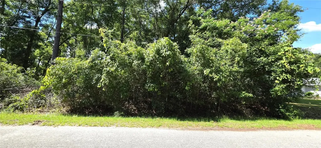 Tbd Lot 11 NW 61st Lane Ocala FL 34482