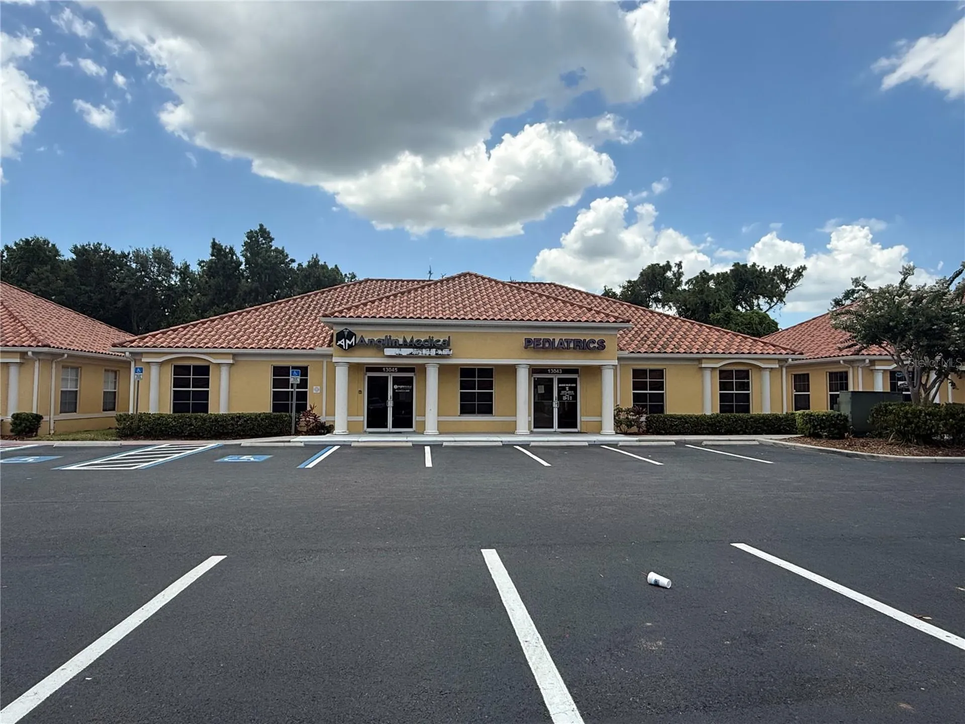 13045 Summerfield Square Drive Riverview FL 33578
