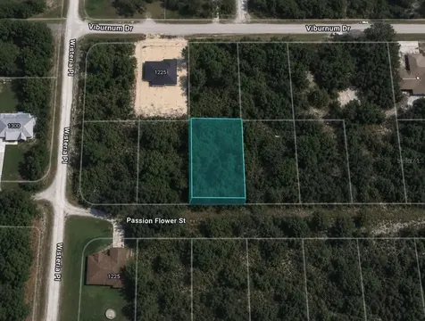 1220 Passion Flower Street Sebring FL 33875