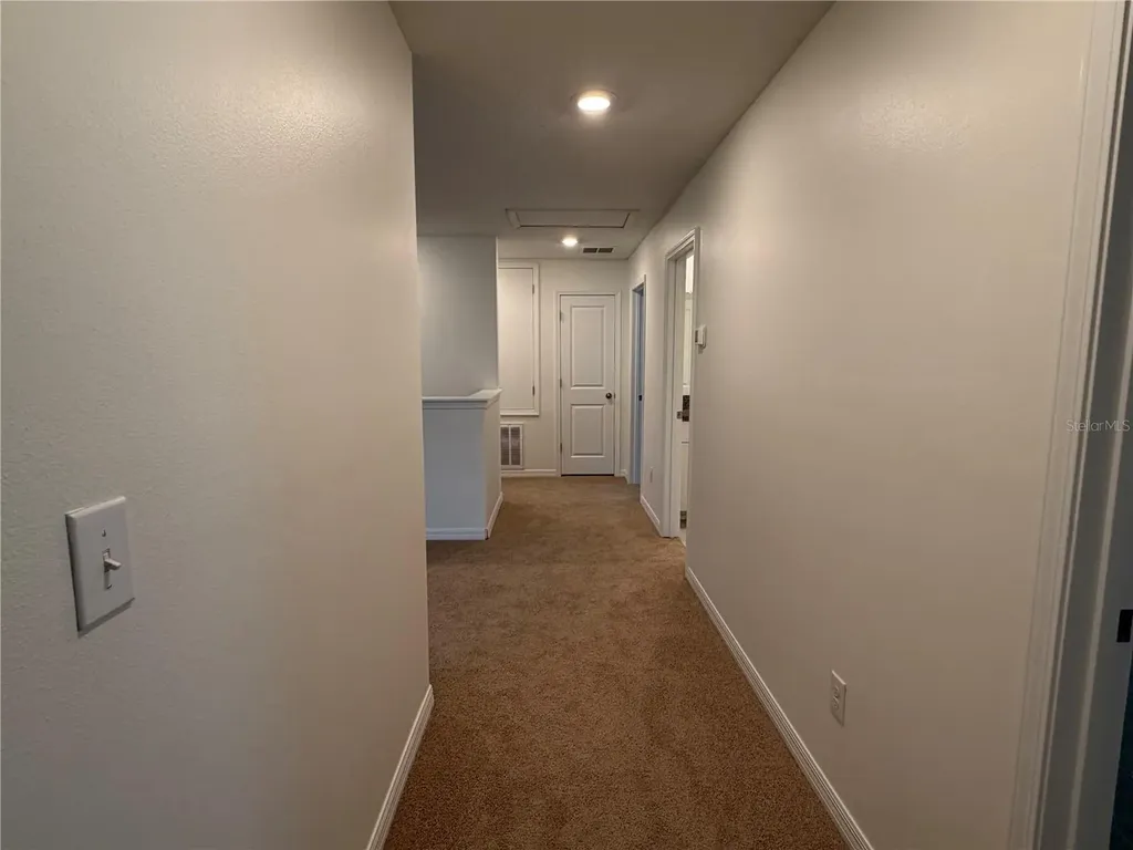 31823 Sun Kettle Loop Wesley Chapel FL 33545