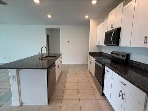 31823 Sun Kettle Loop Wesley Chapel FL 33545