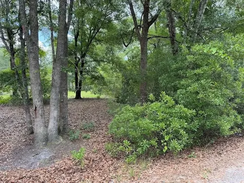 00 Lil Dixie Drive Sanderson FL 32087