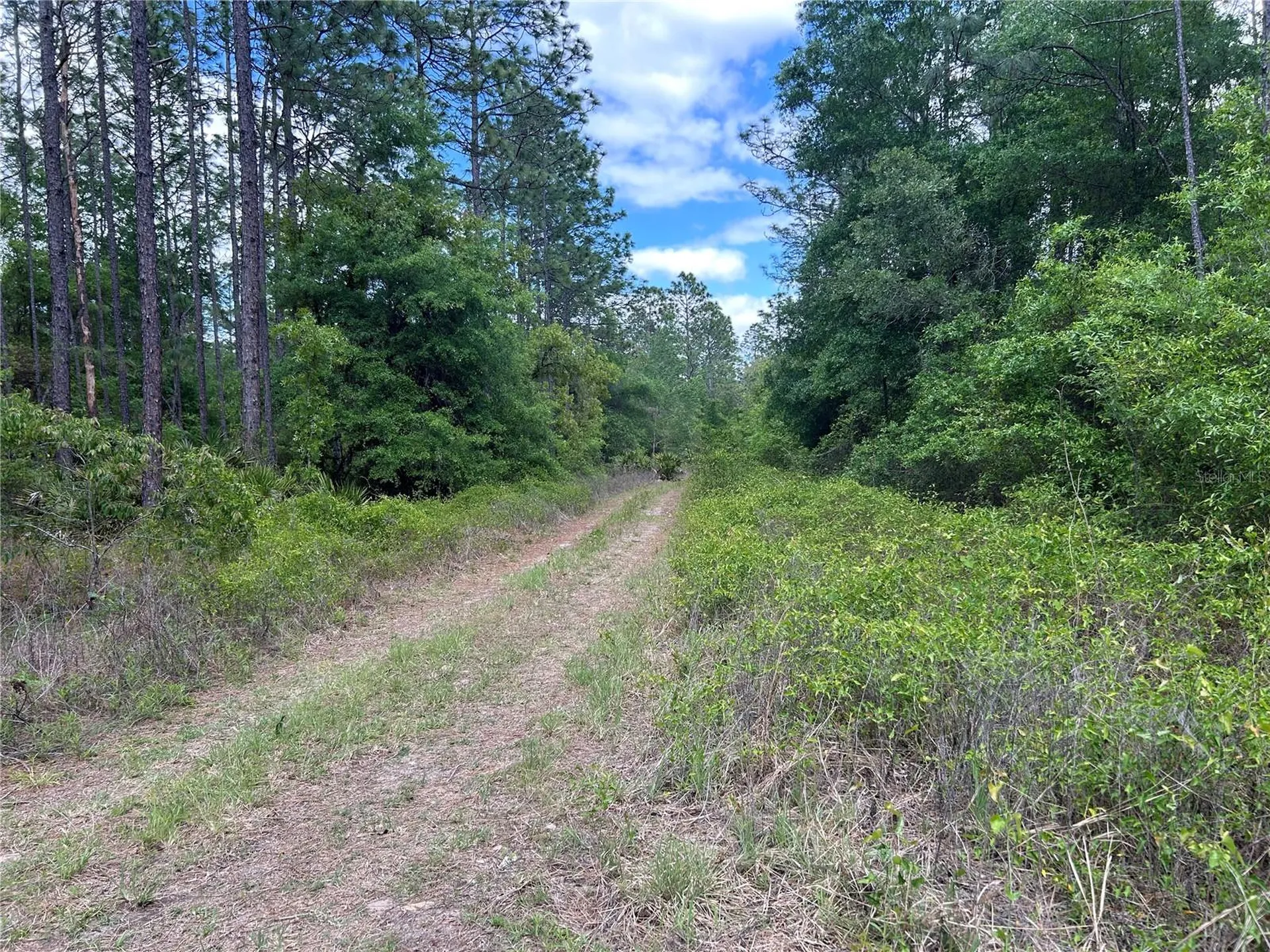 Tbd SW 159th Avenue Ocala FL 34481