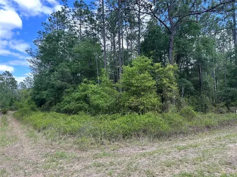 Tbd SW 159th Avenue Ocala FL 34481