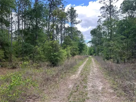 Tbd SW 159th Avenue Ocala FL 34481