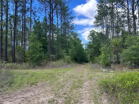 Tbd SW 159th Avenue Ocala FL 34481