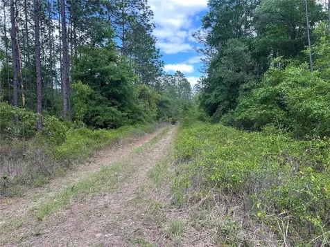 Tbd SW 159th Avenue Ocala FL 34481
