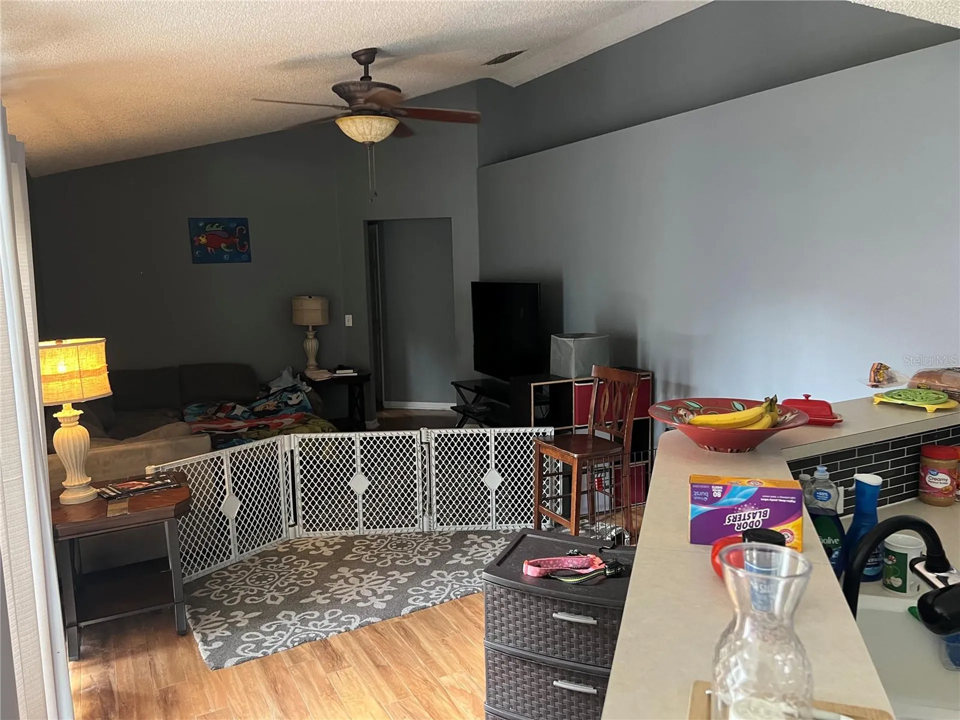 69 Raemoor Drive Palm Coast FL 32164