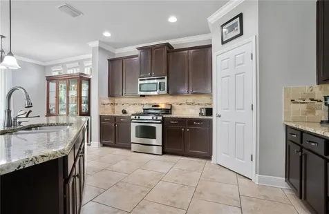 16308 Bayberry View Drive Lithia FL 33547