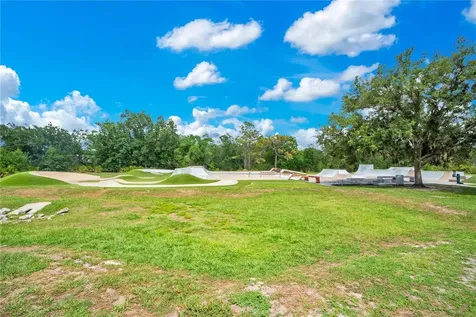 16308 Bayberry View Drive Lithia FL 33547