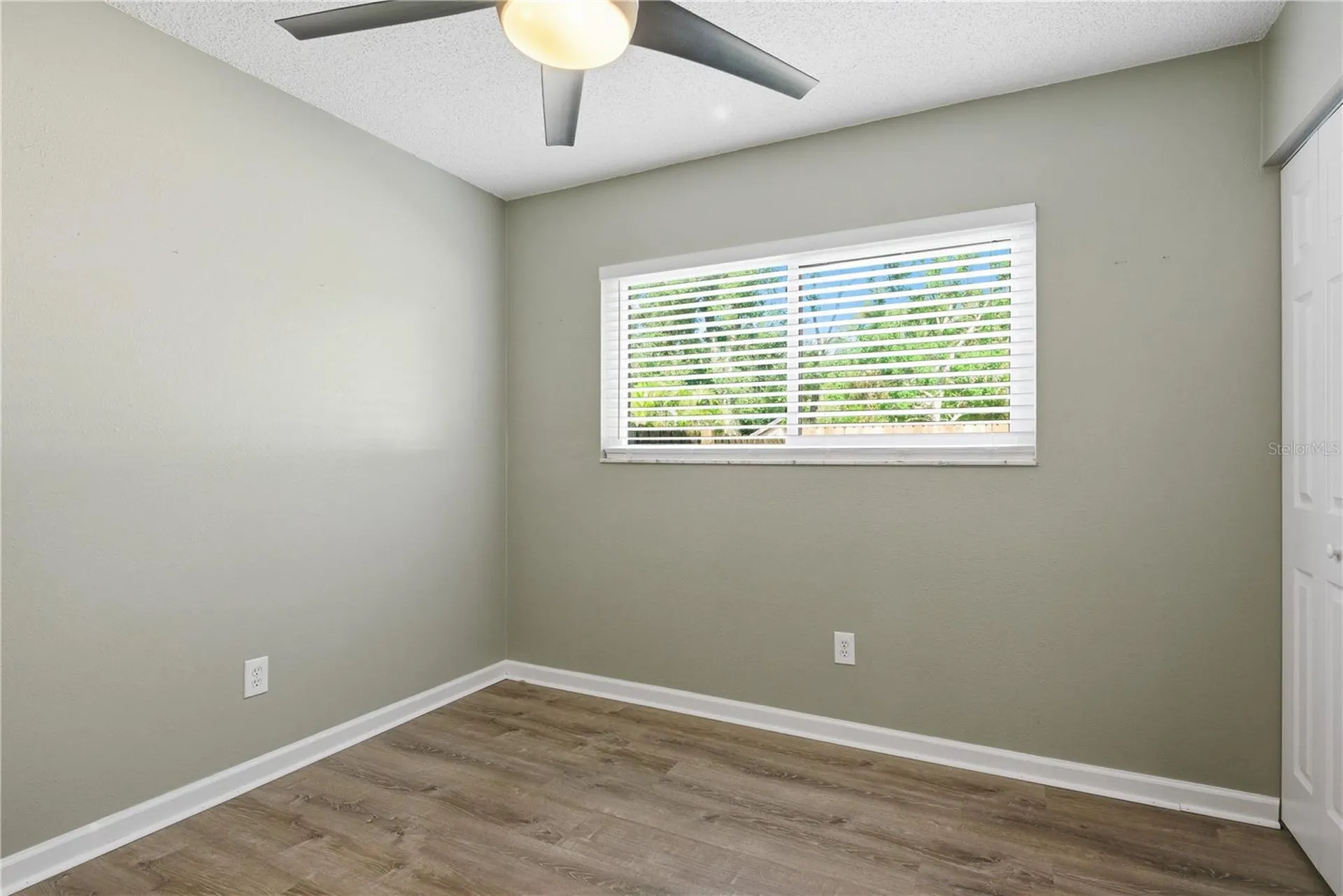 2914 Cypress Green Drive Palm Harbor FL 34684