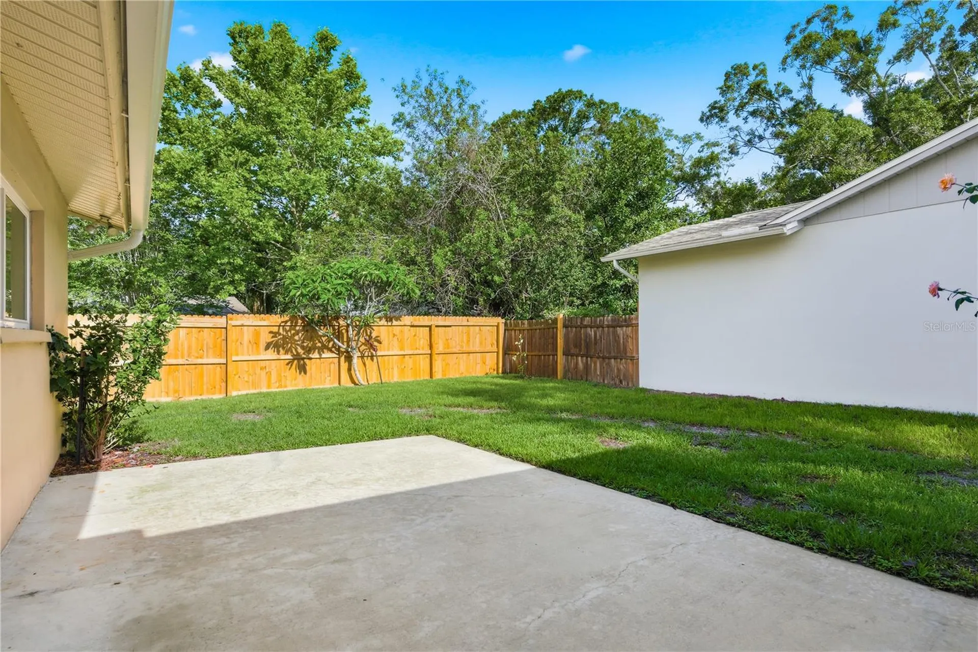 2914 Cypress Green Drive Palm Harbor FL 34684