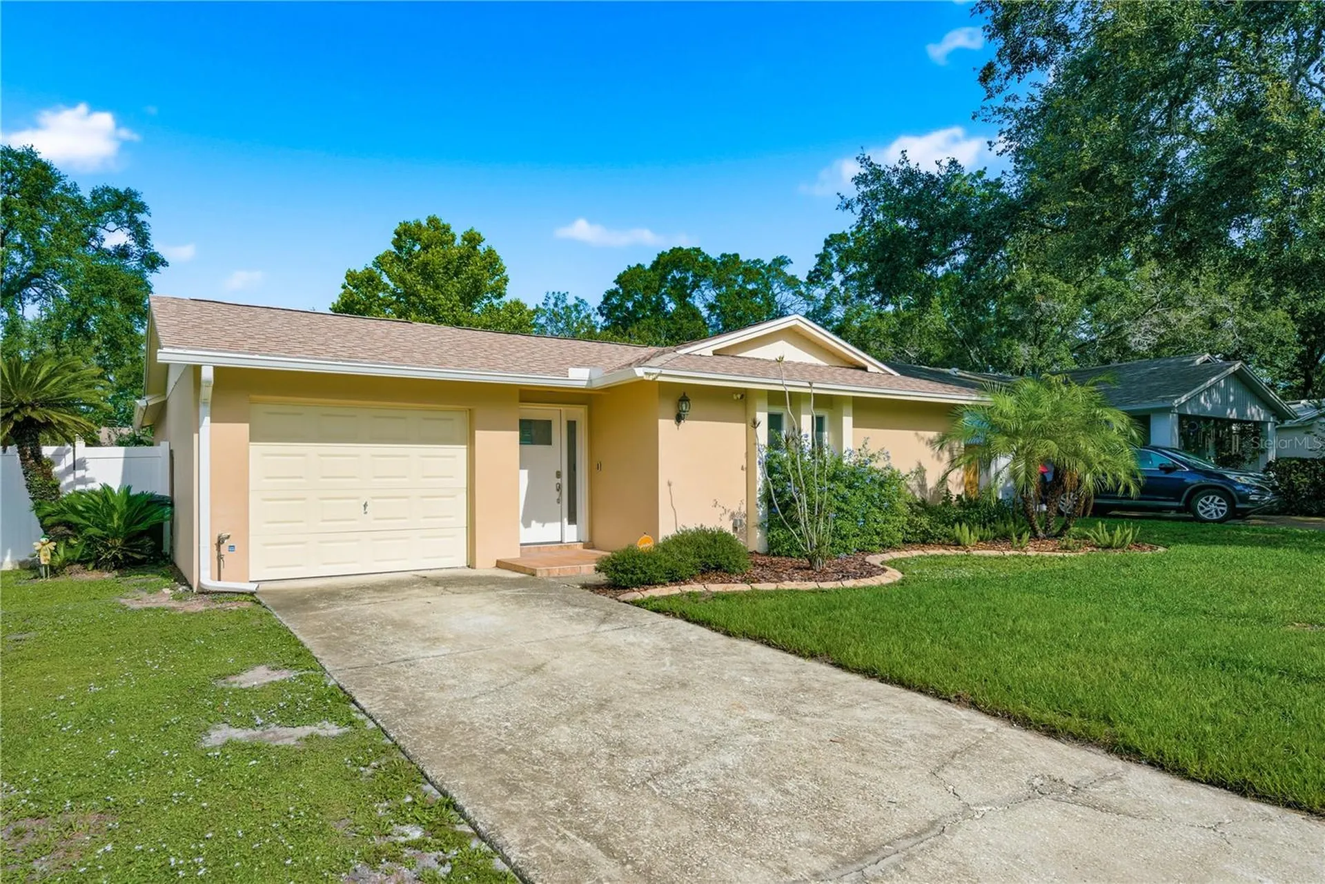 2914 Cypress Green Drive Palm Harbor FL 34684