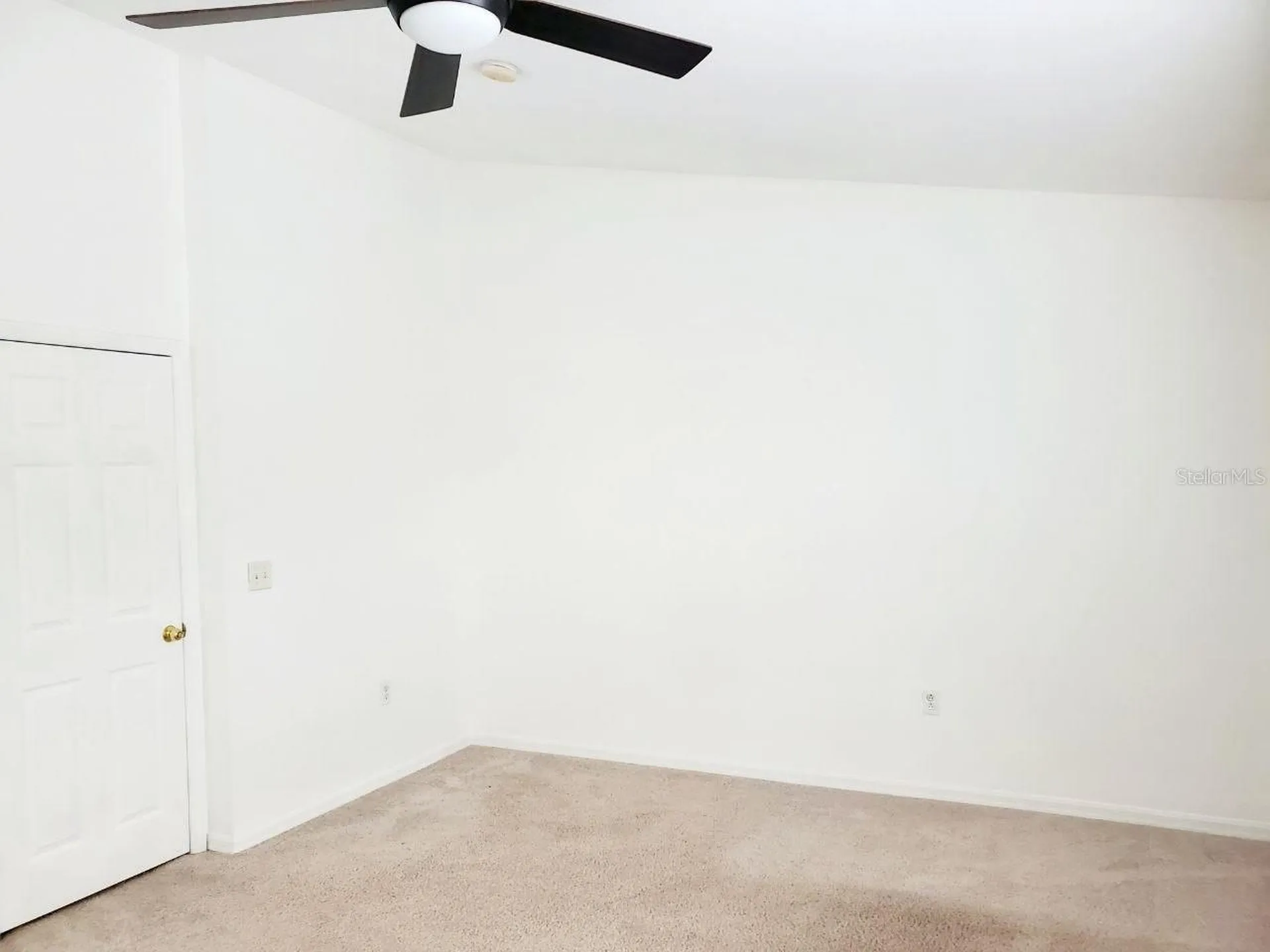 1513 Deer Tree Lane Brandon FL 33510