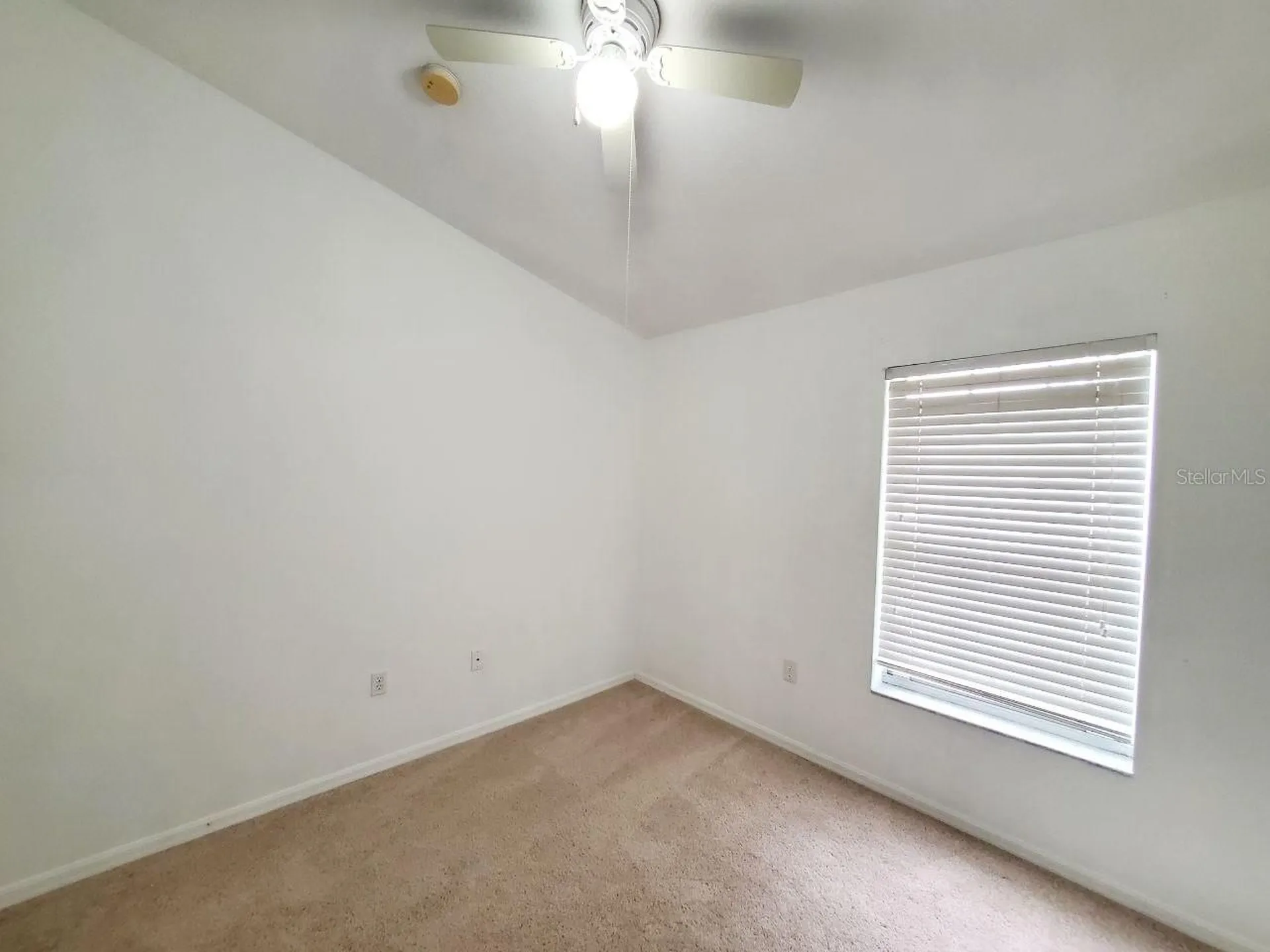 1513 Deer Tree Lane Brandon FL 33510
