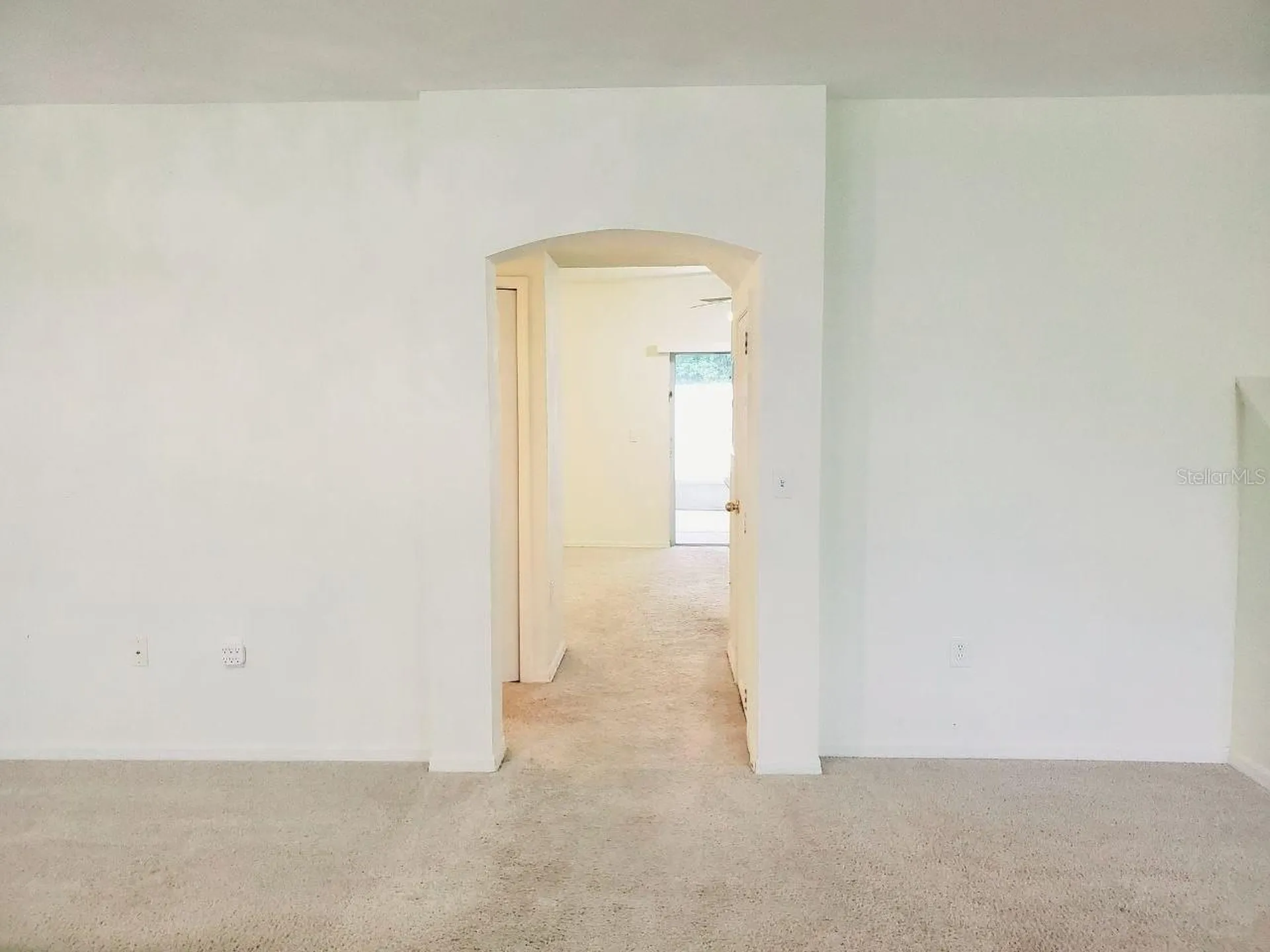 1513 Deer Tree Lane Brandon FL 33510