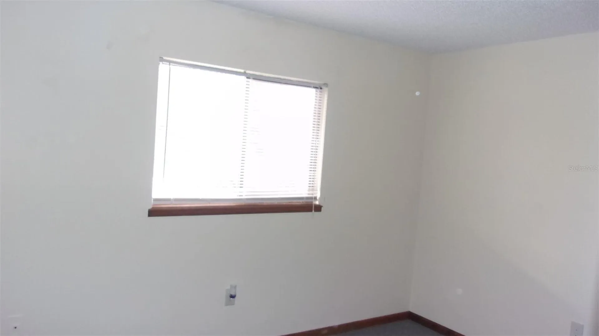 10081 SW 97th Court Ocala FL 34481