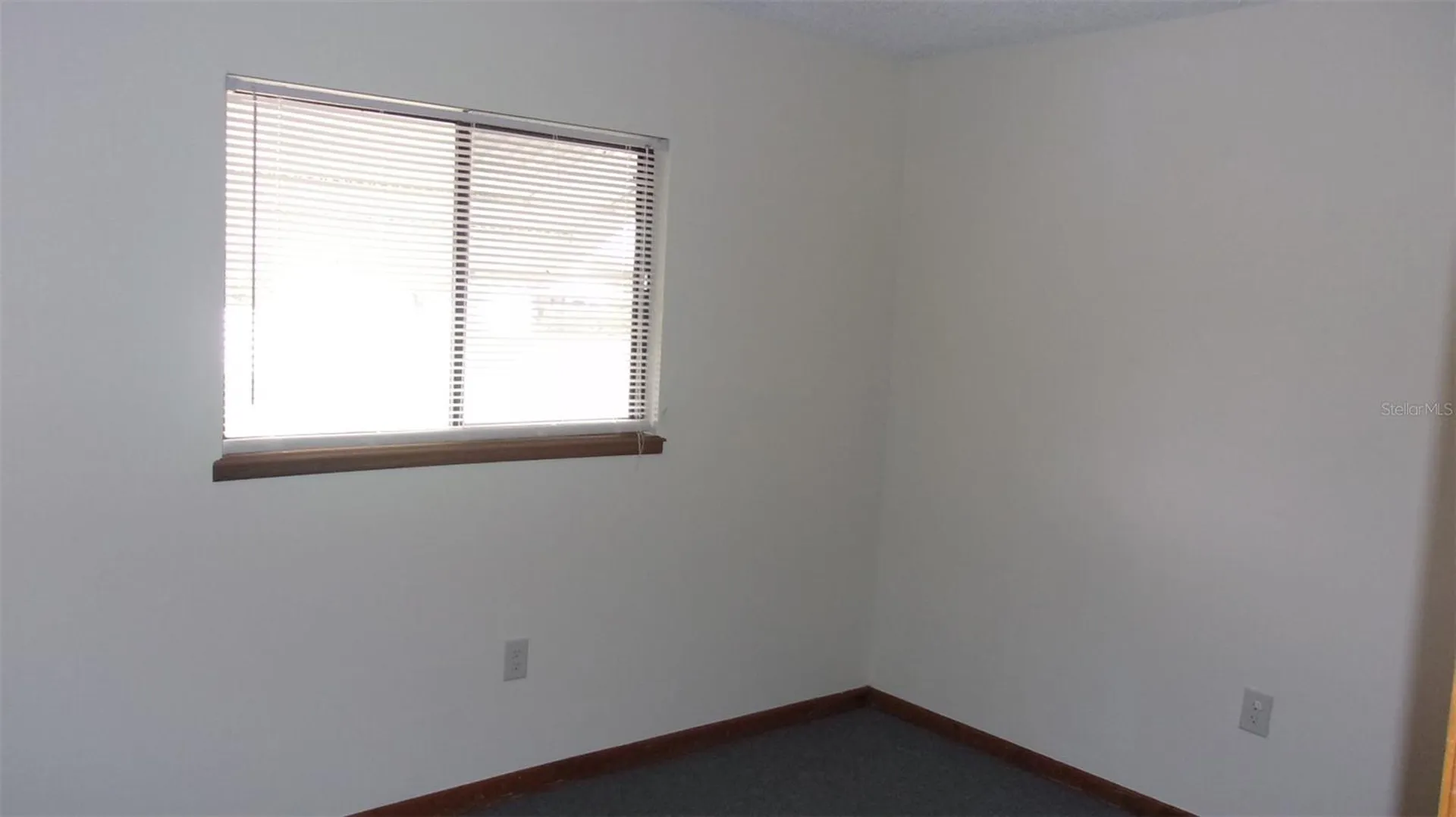 10081 SW 97th Court Ocala FL 34481
