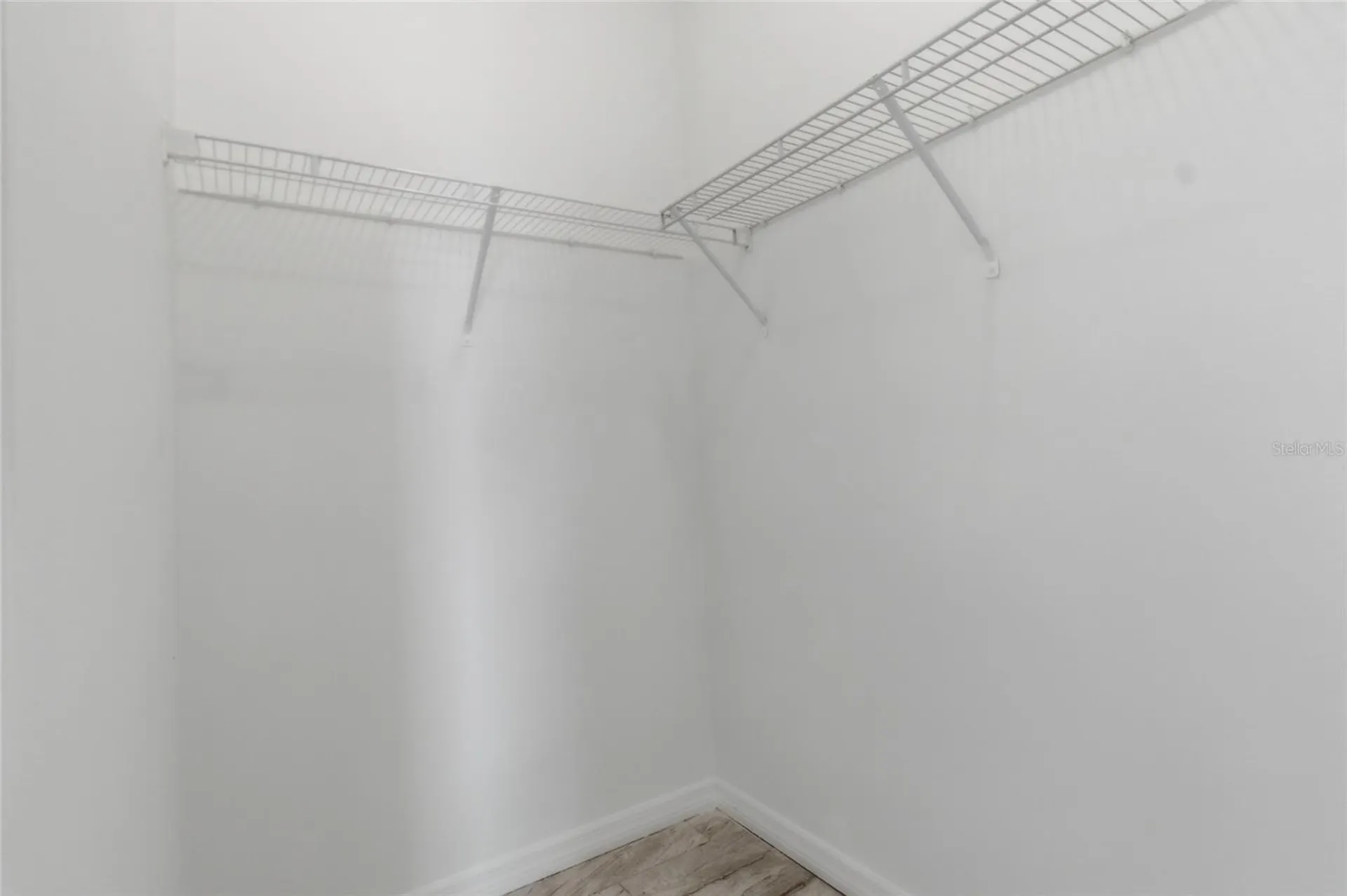 3702 Wiggins Leaf Street Tampa FL 33619