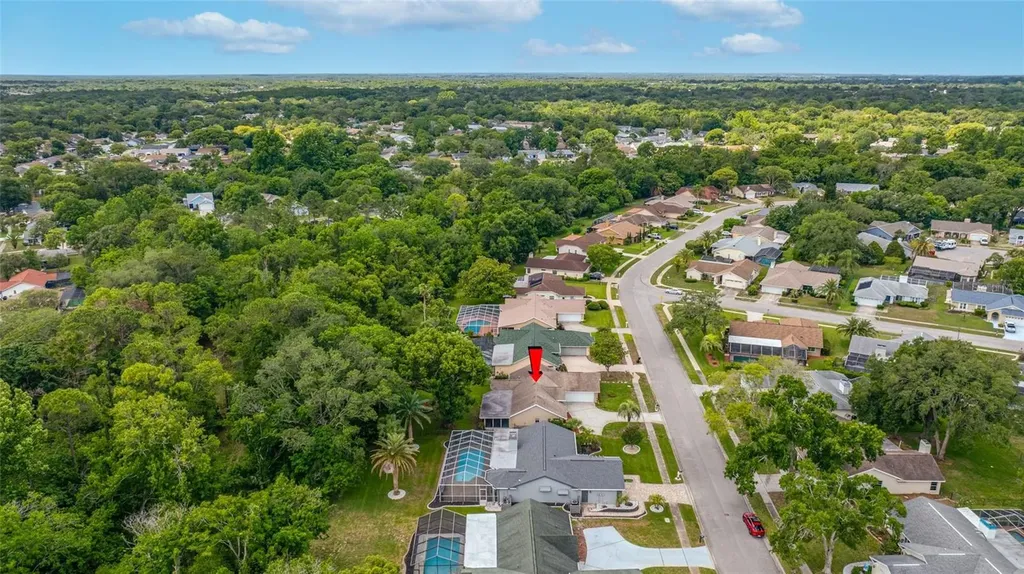 8741 Braxton Drive Hudson FL 34667