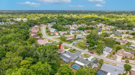 8741 Braxton Drive Hudson FL 34667