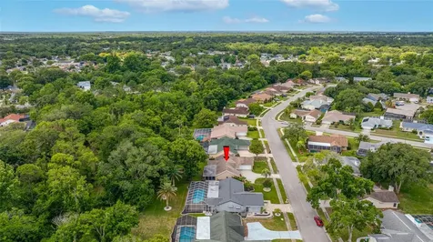 8741 Braxton Drive Hudson FL 34667