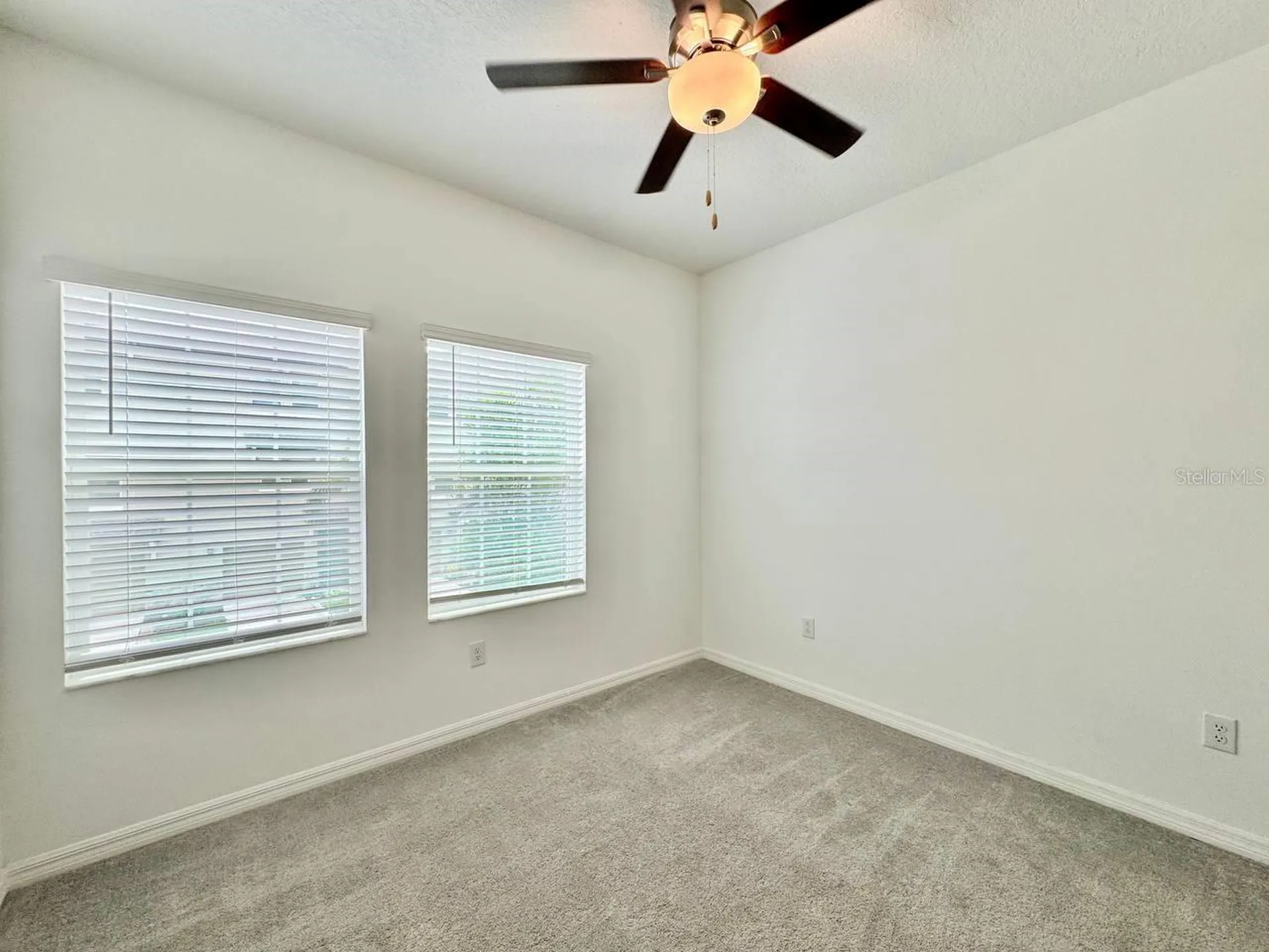 4429 Tuscan Loon Drive Tampa FL 33619
